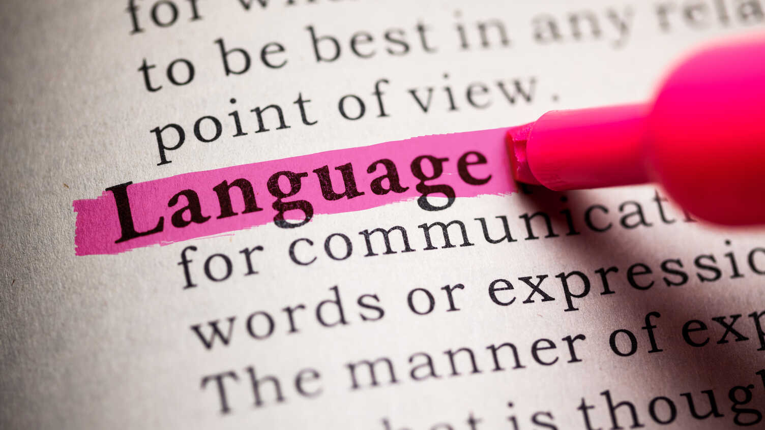 Language And Society English The University Of Sheffield Language and society english the university of sheffield